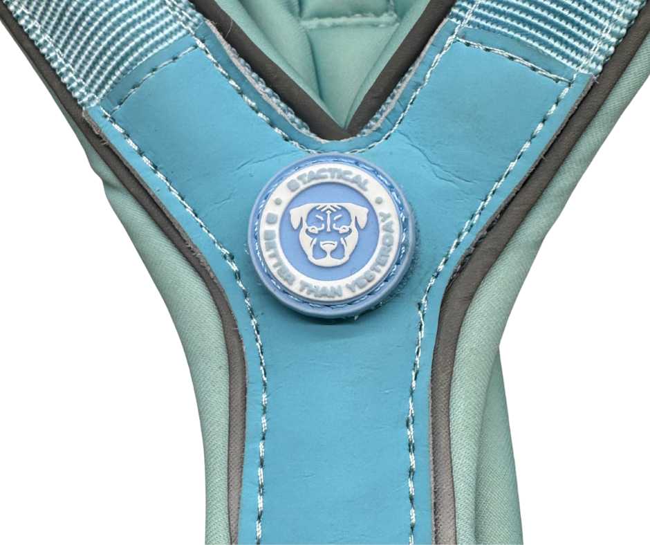 Pastel blue dog harness by BTactical with stitched border and decorative logo button.