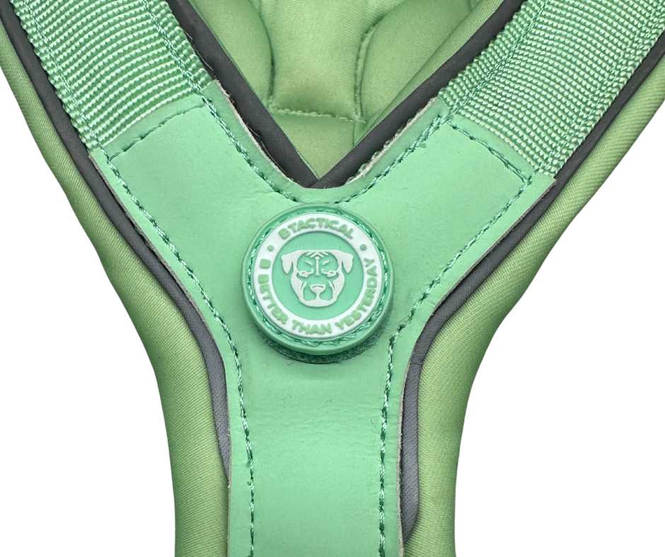 Pastel green dog harness by BTactical featuring woven straps and a branded central medallion.