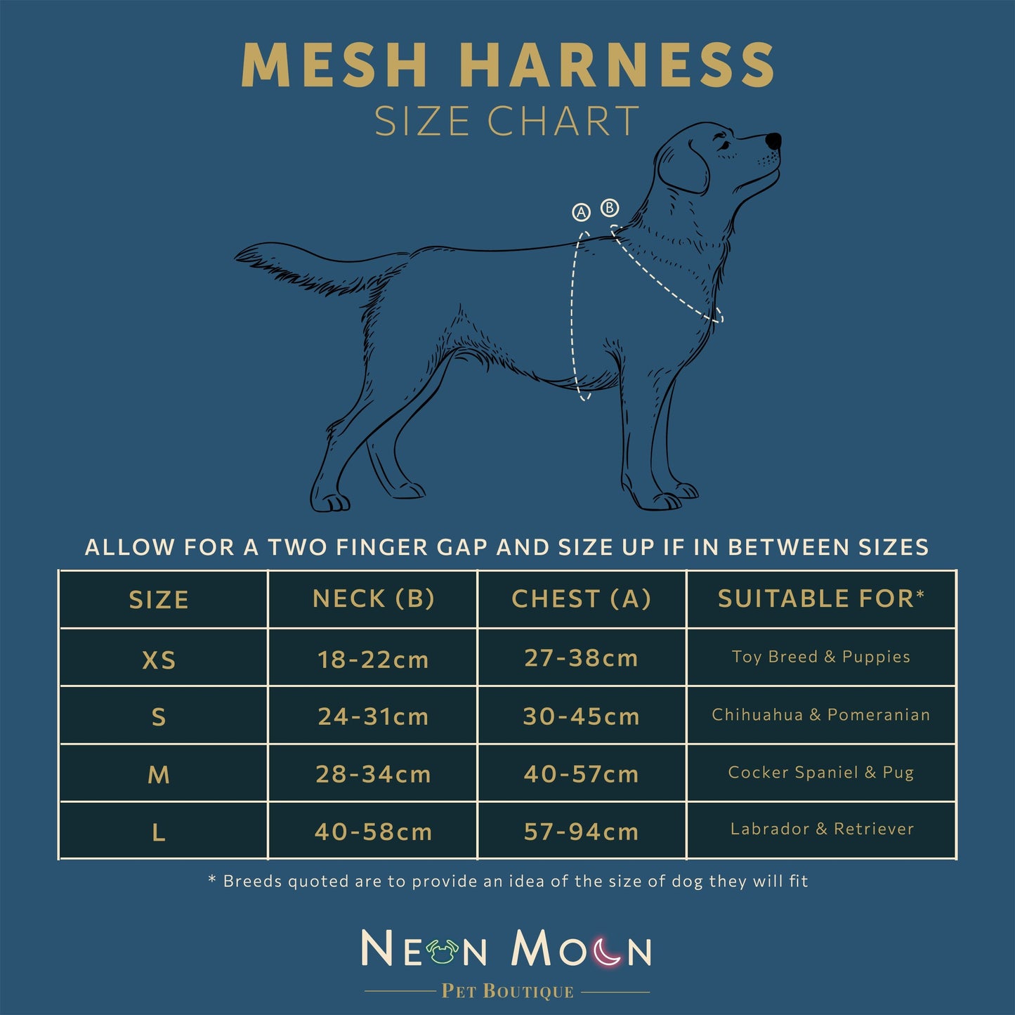 The Tod Mesh Dog Harness