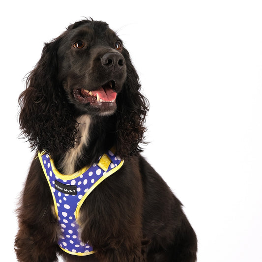 The Minnie Mesh Dog Harness