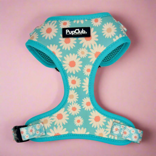 Adjustable Dog Harness - Pastel Daisy