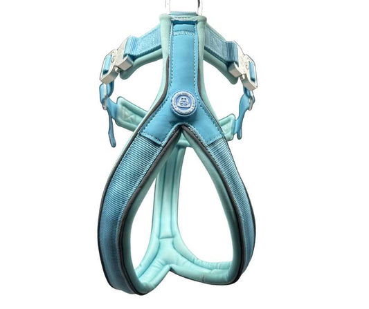 The 2.5cm BTactical™ Slip on Dog Harness | Pastel Blue