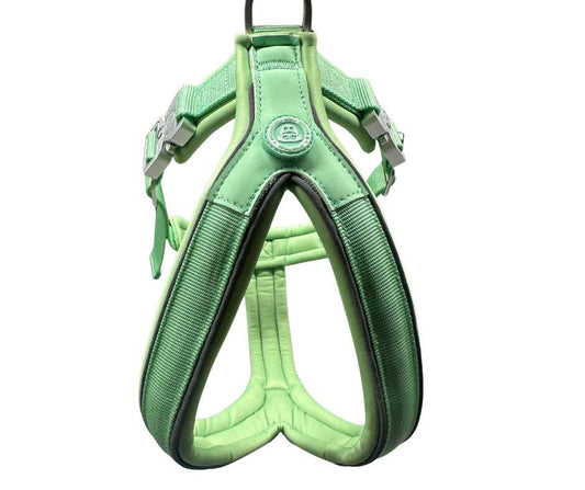 The 2.5cm BTactical™ Slip on Dog Harness | Pastel Green