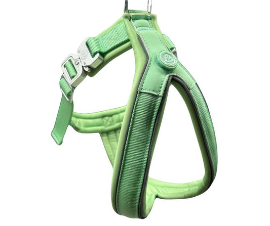 The 2.5cm BTactical™ Slip on Dog Harness | Pastel Green