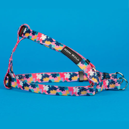 The Luna Step-In Dog Harness