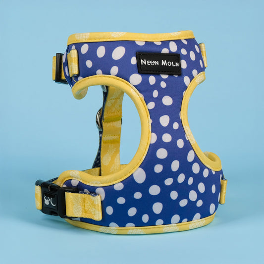The Minnie Mesh Dog Harness
