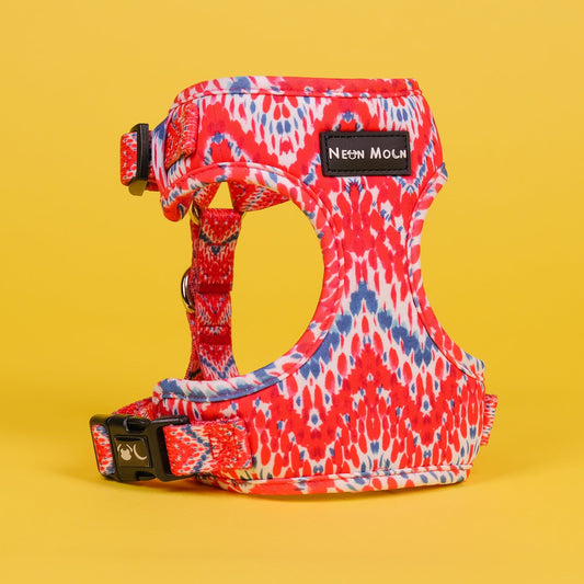 The Tod Mesh Dog Harness