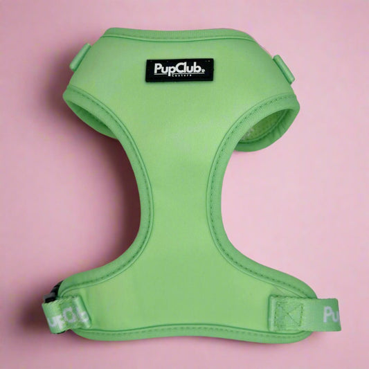 Adjustable Dog Harness - Pastel Mint Green